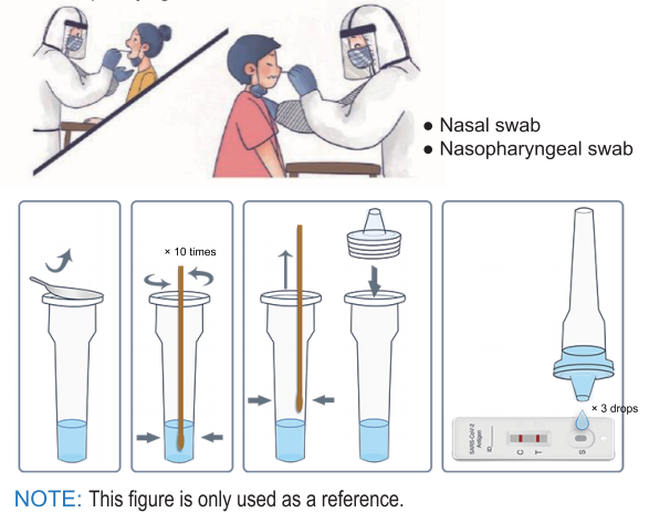 Nasal test kit