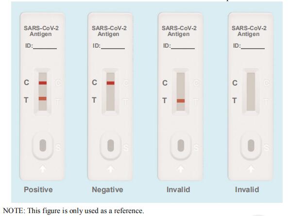 INTERPRETATION OF RESULTS