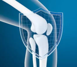 Bone metabolism